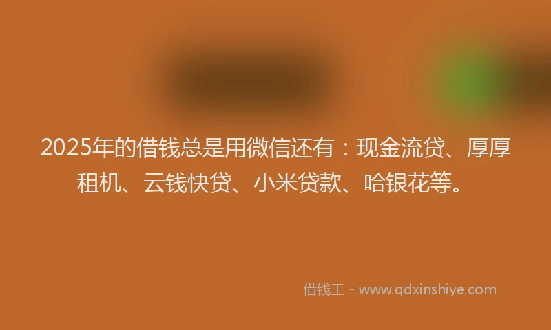 2025年的借钱总是用微信还有：现金流贷、厚厚租机、云钱快贷、小米贷款、哈银花等。