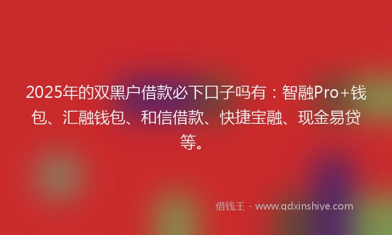 2025年的双黑户借款必下口子吗有：智融Pro+钱包、汇融钱包、和信借款、快捷宝融、现金易贷等。