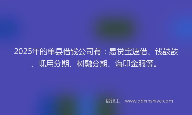 2025年的单县借钱公司有：易贷宝速借、钱鼓鼓、现用分期、树融分期、海印金服等。