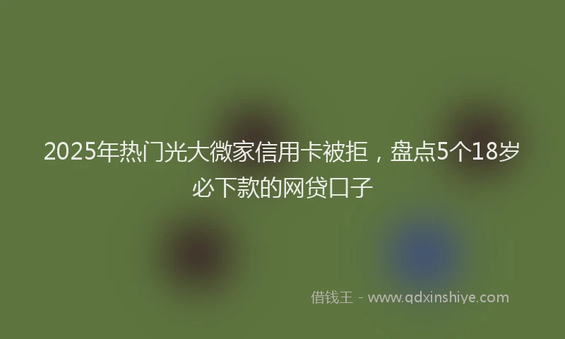 2025年热门光大微家信用卡被拒，盘点5个18岁必下款的网贷口子