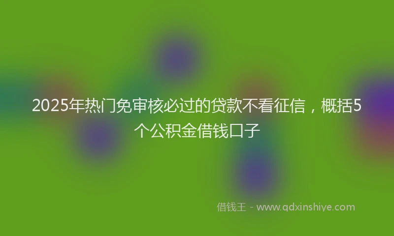 2025年热门免审核必过的贷款不看征信，概括5个公积金借钱口子