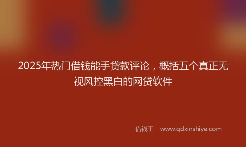 2025年热门借钱能手贷款评论，概括五个真正无视风控黑白的网贷软件