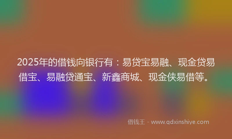 2025年的借钱向银行有：易贷宝易融、现金贷易借宝、易融贷通宝、新鑫商城、现金侠易借等。