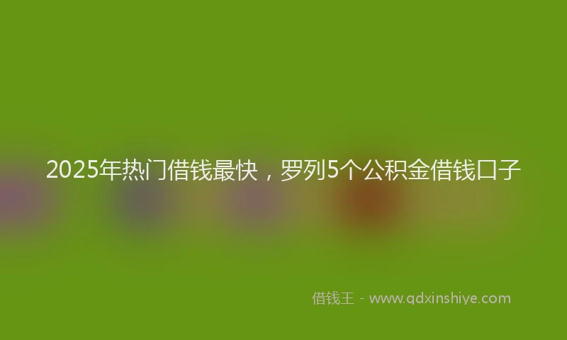 2025年热门借钱最快，罗列5个公积金借钱口子