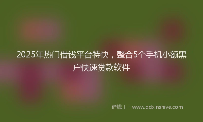 2025年热门借钱平台特快，整合5个手机小额黑户快速贷款软件
