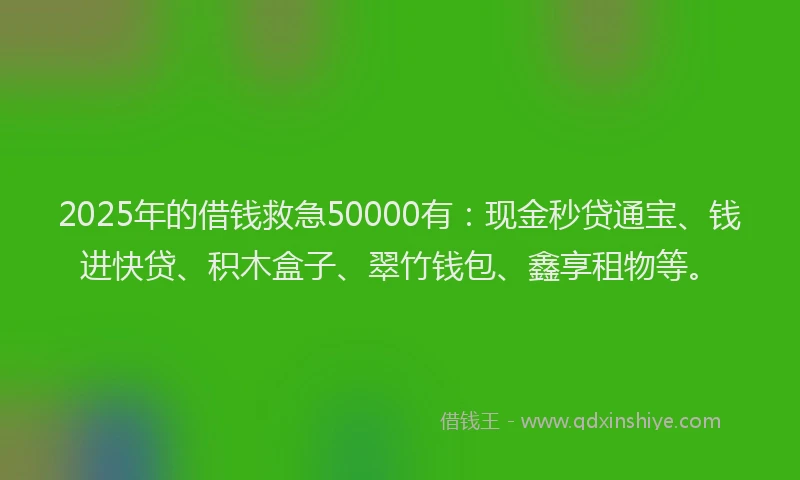 2025年的借钱救急50000有：现金秒贷通宝、钱进快贷、积木盒子、翠竹钱包、鑫享租物等。