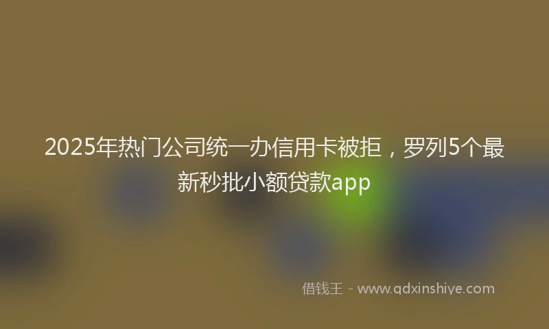 2025年热门公司统一办信用卡被拒，罗列5个最新秒批小额贷款app