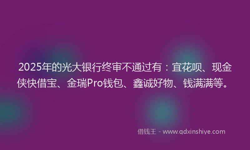 2025年的光大银行终审不通过有：宜花呗、现金侠快借宝、金瑞Pro钱包、鑫诚好物、钱满满等。