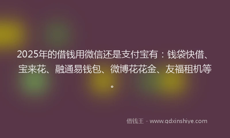 2025年的借钱用微信还是支付宝有：钱袋快借、宝来花、融通易钱包、微博花花金、友福租机等。