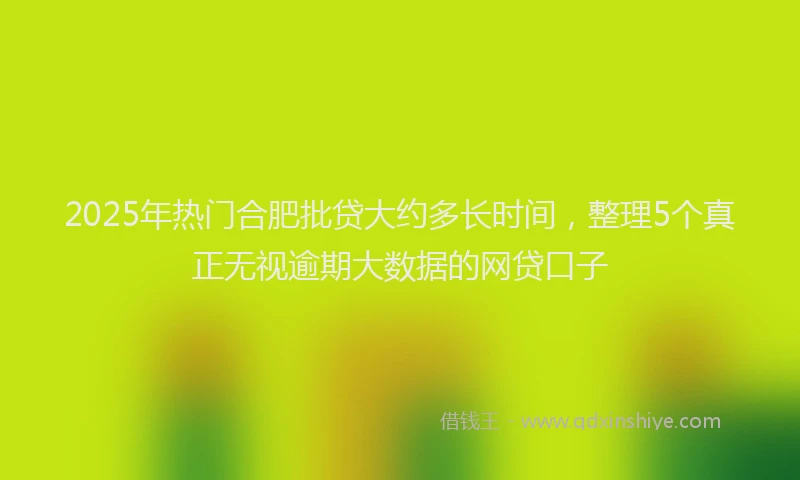 2025年热门合肥批贷大约多长时间，整理5个真正无视逾期大数据的网贷口子