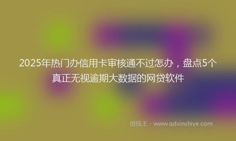 2025年热门办信用卡审核通不过怎办，盘点5个真正无视逾期大数据的网贷软件