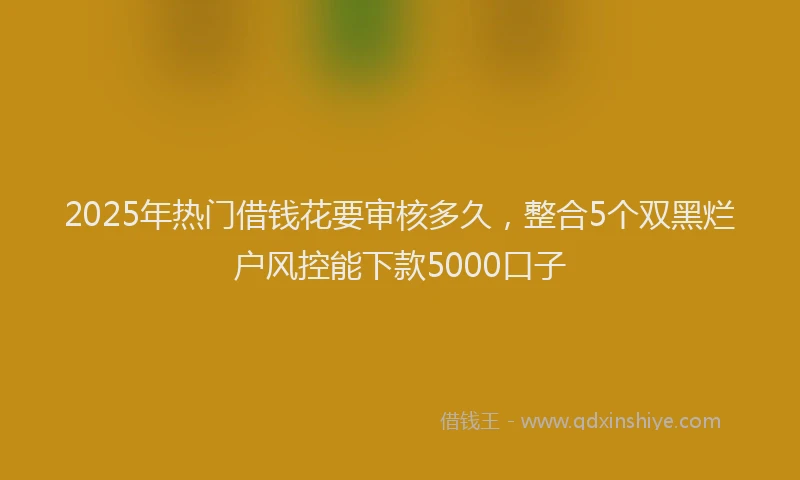 2025年热门借钱花要审核多久，整合5个双黑烂户风控能下款5000口子