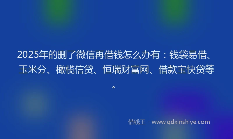 2025年的删了微信再借钱怎么办有：钱袋易借、玉米分、橄榄信贷、恒瑞财富网、借款宝快贷等。