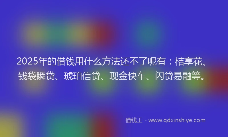 2025年的借钱用什么方法还不了呢有：桔享花、钱袋瞬贷、琥珀信贷、现金快车、闪贷易融等。