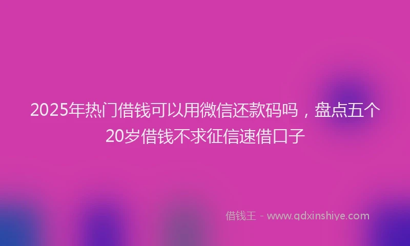 2025年热门借钱可以用微信还款码吗，盘点五个20岁借钱不求征信速借口子