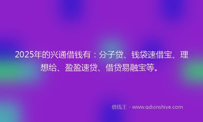 2025年的兴通借钱有：分子贷、钱袋速借宝、理想给、盈盈速贷、借贷易融宝等。