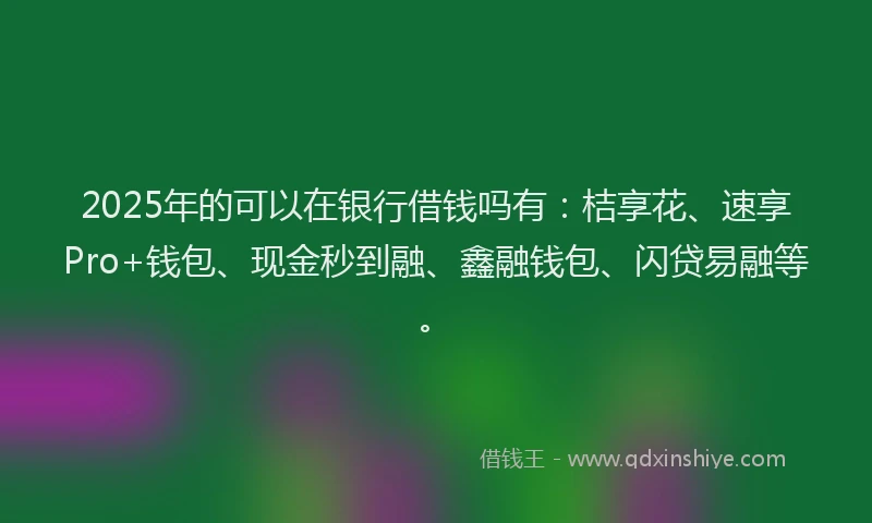 2025年的可以在银行借钱吗有：桔享花、速享Pro+钱包、现金秒到融、鑫融钱包、闪贷易融等。