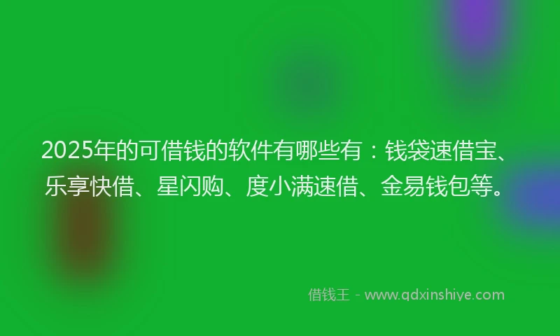 2025年的可借钱的软件有哪些有：钱袋速借宝、乐享快借、星闪购、度小满速借、金易钱包等。