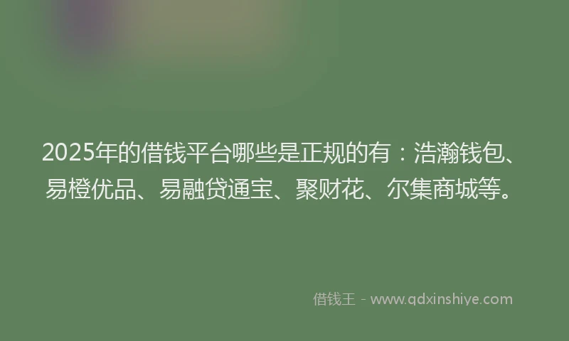 2025年的借钱平台哪些是正规的有：浩瀚钱包、易橙优品、易融贷通宝、聚财花、尔集商城等。