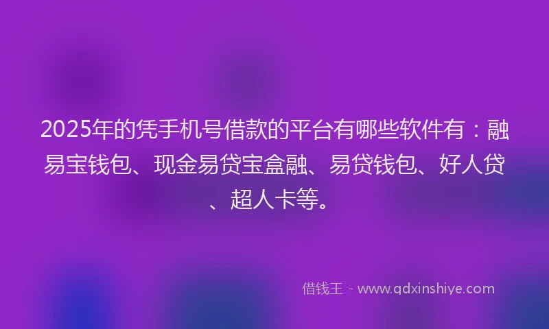 2025年的凭手机号借款的平台有哪些软件有：融易宝钱包、现金易贷宝盒融、易贷钱包、好人贷、超人卡等。
