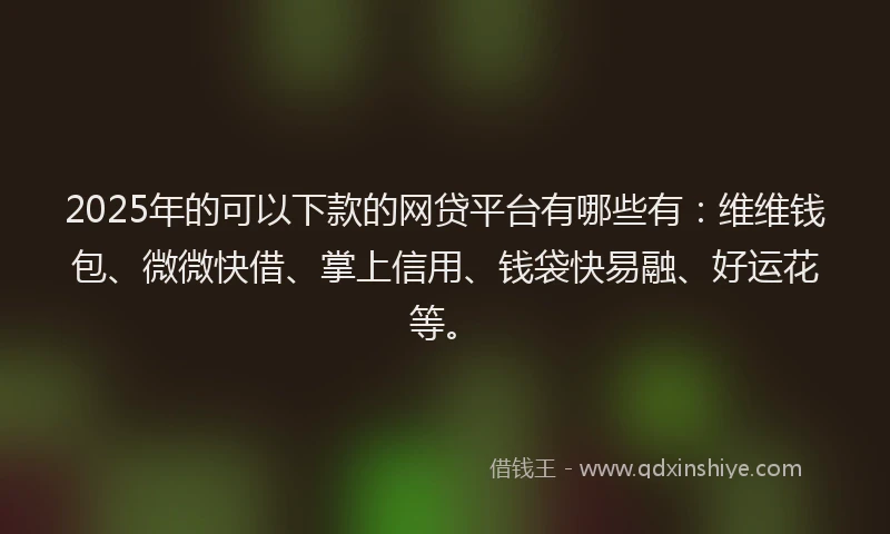 2025年的可以下款的网贷平台有哪些有：维维钱包、微微快借、掌上信用、钱袋快易融、好运花等。