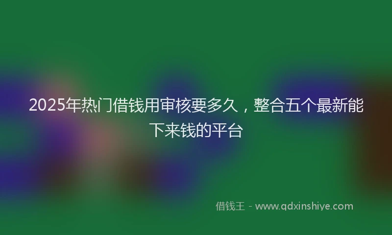 2025年热门借钱用审核要多久，整合五个最新能下来钱的平台