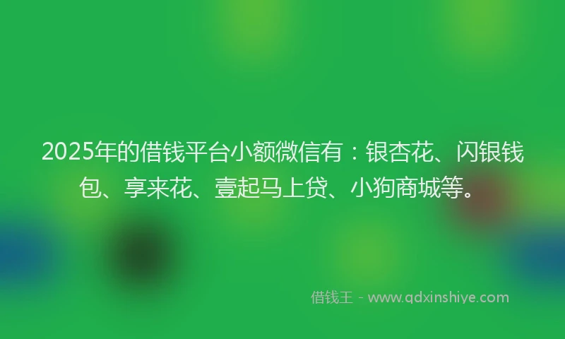 2025年的借钱平台小额微信有：银杏花、闪银钱包、享来花、壹起马上贷、小狗商城等。