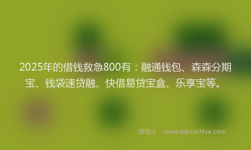 2025年的借钱救急800有：融通钱包、森森分期宝、钱袋速贷融、快借易贷宝盒、乐享宝等。