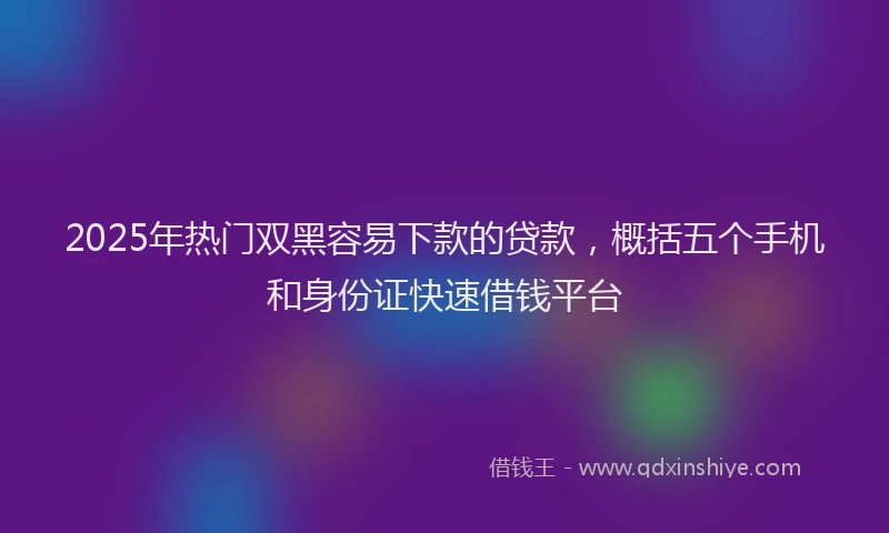2025年热门双黑容易下款的贷款，概括五个手机和身份证快速借钱平台