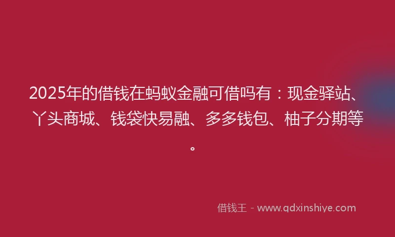 2025年的借钱在蚂蚁金融可借吗有：现金驿站、丫头商城、钱袋快易融、多多钱包、柚子分期等。