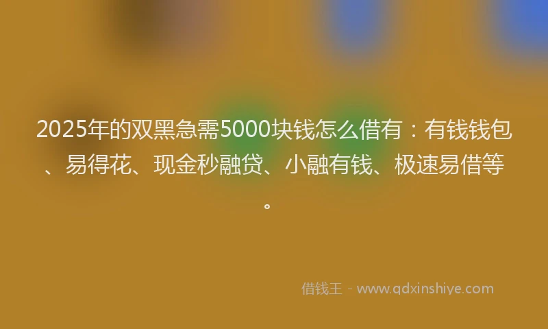 2025年的双黑急需5000块钱怎么借有：有钱钱包、易得花、现金秒融贷、小融有钱、极速易借等。