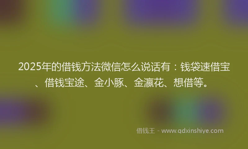 2025年的借钱方法微信怎么说话有：钱袋速借宝、借钱宝途、金小豚、金瀛花、想借等。