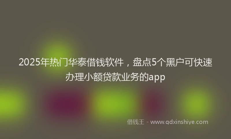 2025年热门华泰借钱软件，盘点5个黑户可快速办理小额贷款业务的app