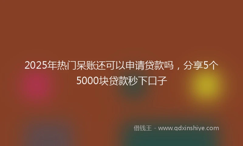 2025年热门呆账还可以申请贷款吗，分享5个5000块贷款秒下口子