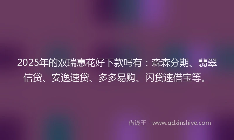 2025年的双瑞惠花好下款吗有：森森分期、翡翠信贷、安逸速贷、多多易购、闪贷速借宝等。
