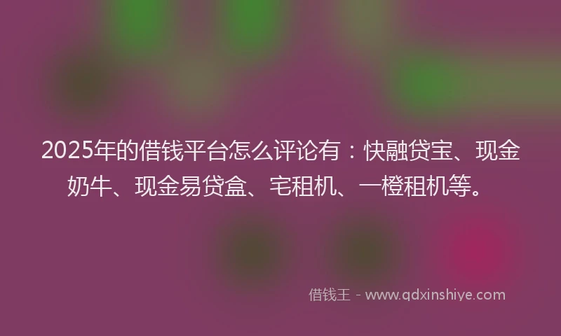 2025年的借钱平台怎么评论有：快融贷宝、现金奶牛、现金易贷盒、宅租机、一橙租机等。
