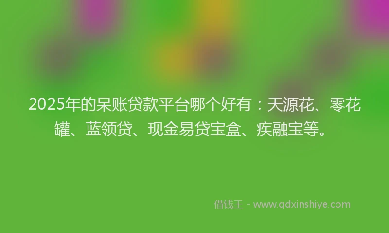 2025年的呆账贷款平台哪个好有：天源花、零花罐、蓝领贷、现金易贷宝盒、疾融宝等。