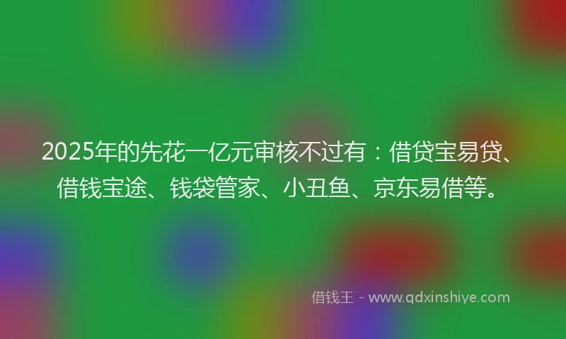 2025年的先花一亿元审核不过有：借贷宝易贷、借钱宝途、钱袋管家、小丑鱼、京东易借等。