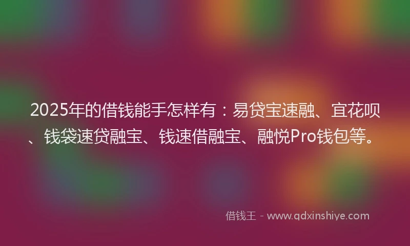 2025年的借钱能手怎样有：易贷宝速融、宜花呗、钱袋速贷融宝、钱速借融宝、融悦Pro钱包等。