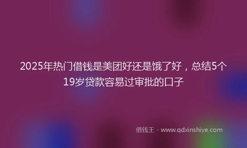 2025年热门借钱是美团好还是饿了好，总结5个19岁贷款容易过审批的口子