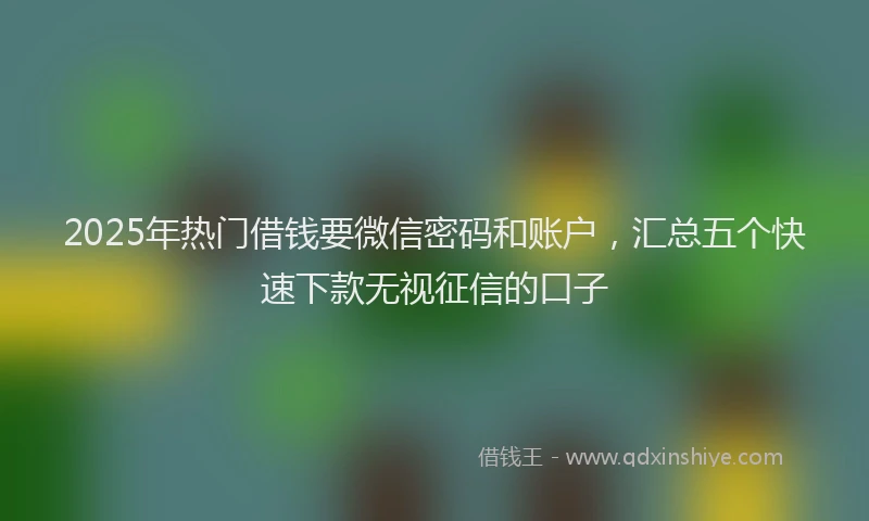 2025年热门借钱要微信密码和账户，汇总五个快速下款无视征信的口子