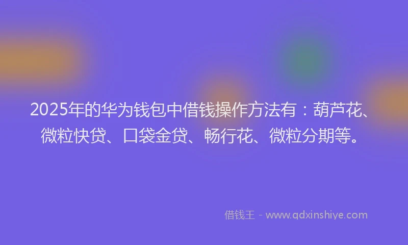 2025年的华为钱包中借钱操作方法有：葫芦花、微粒快贷、口袋金贷、畅行花、微粒分期等。