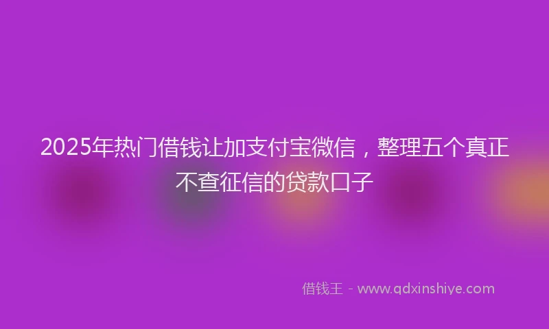 2025年热门借钱让加支付宝微信，整理五个真正不查征信的贷款口子