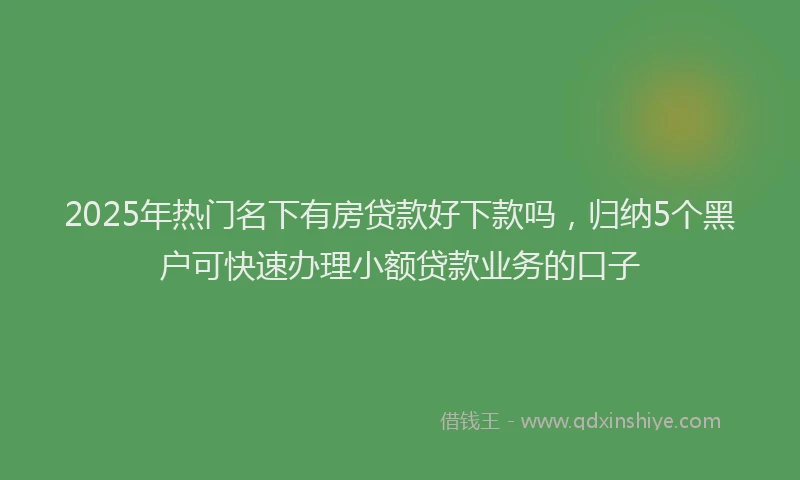 2025年热门名下有房贷款好下款吗，归纳5个黑户可快速办理小额贷款业务的口子