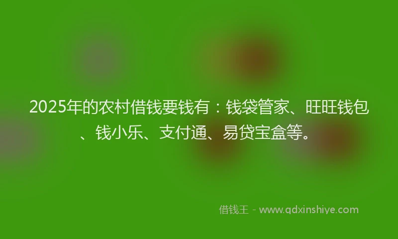 2025年的农村借钱要钱有：钱袋管家、旺旺钱包、钱小乐、支付通、易贷宝盒等。