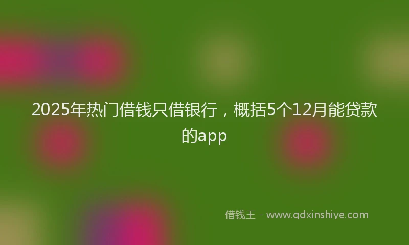 2025年热门借钱只借银行，概括5个12月能贷款的app