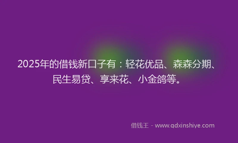 2025年的借钱新口子有：轻花优品、森森分期、民生易贷、享来花、小金鸽等。