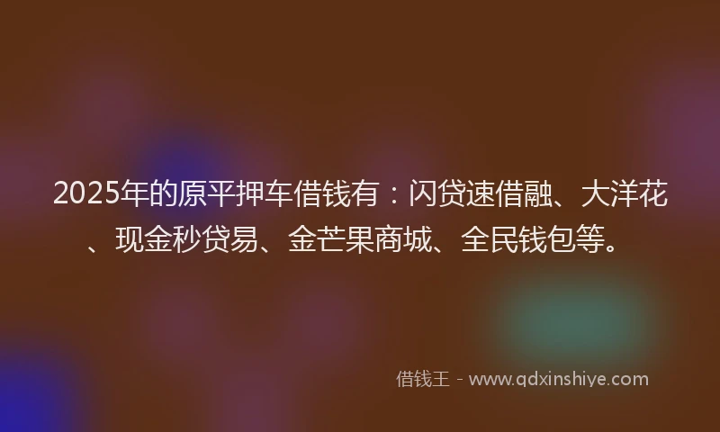 2025年的原平押车借钱有：闪贷速借融、大洋花、现金秒贷易、金芒果商城、全民钱包等。