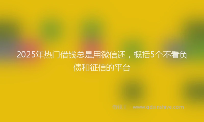 2025年热门借钱总是用微信还，概括5个不看负债和征信的平台