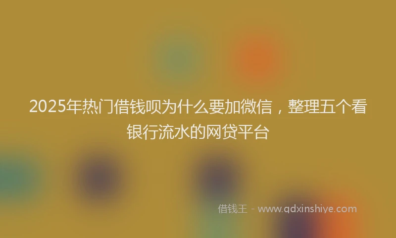 2025年热门借钱呗为什么要加微信，整理五个看银行流水的网贷平台